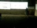 videos de Christelle et Sultane