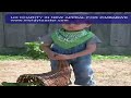 UK CHARITY IN NEW APPEAL FOR ZIMBABWE.mov