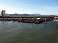 Aviary founders take a trip to fisherman's wharf