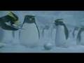 Surf-s-Up-The-Ocean-
