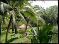 Travel of Thailand (Krabi) 8