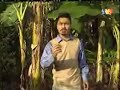 Misteri Nusantara