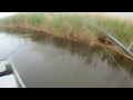 Подводная охота на Волге май 2011