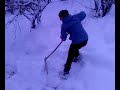 siptari