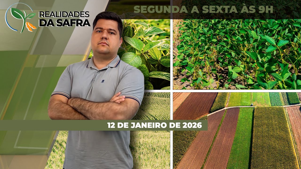 Colheita da soja avança em Sorriso/MT e começa pontualmente em partes do Paraná