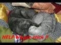 Se video