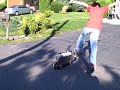 sweet boned ollie north and ollie 3 decks