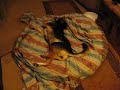 Crazy Dog