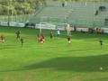 videos de vigor vibonese