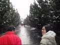 The Temple of Heaven Beijing China