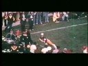 Here Comes the IRISH 2929