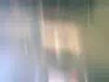 videos de moto