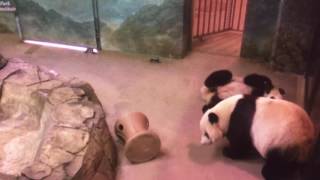 Smithsonian National Zoo