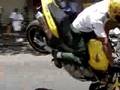 Hornet-fabio-mutter-