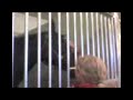 Aida på kliniken Aida på kliniken