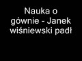 Nauka o g�wnie - Janek wi?niewski
