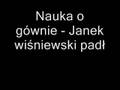 Nauka o gównie - Janek wiśniewski