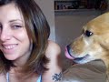 re-puppy-vs-robot-epic-battle-for-territorial-domination.html