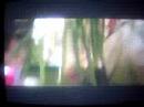 una de mis escenas favoritas de amelie...