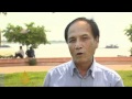 Mekong River losing its Irrawaddy dolphin population