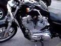 Harley Davidson Sportster 883