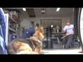Visayan Style Corto-Kadena Eskrima : The Largo