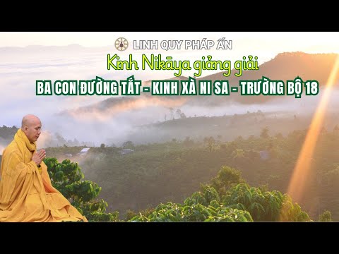 NIKAYA Giảng Giải - Ba Con Đường Tắt Đến An Lạc - Kinh Xà Ni Sa 1 - Trường Bộ 18