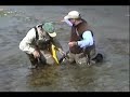 Alaska Trip 2008 Part 2 - Rainbow Point Lodge