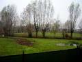 il mio giardino sud-ovest(2).MOV