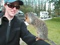 Summer in the Rockies (Part 1)