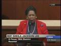 FISA debate Jackson Lee