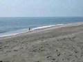 videos de playa