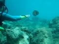 Loveeellllly-Diving-