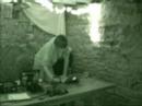 treesleeper- Live in Dekalb