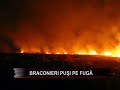 Ecologisti vs braconieri Ecologisti vs braconieri