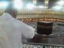 zaitoon in mecca - Thumb #2