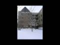 videos de Sustainability Project