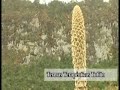 Tulc�n/ Tufi�o