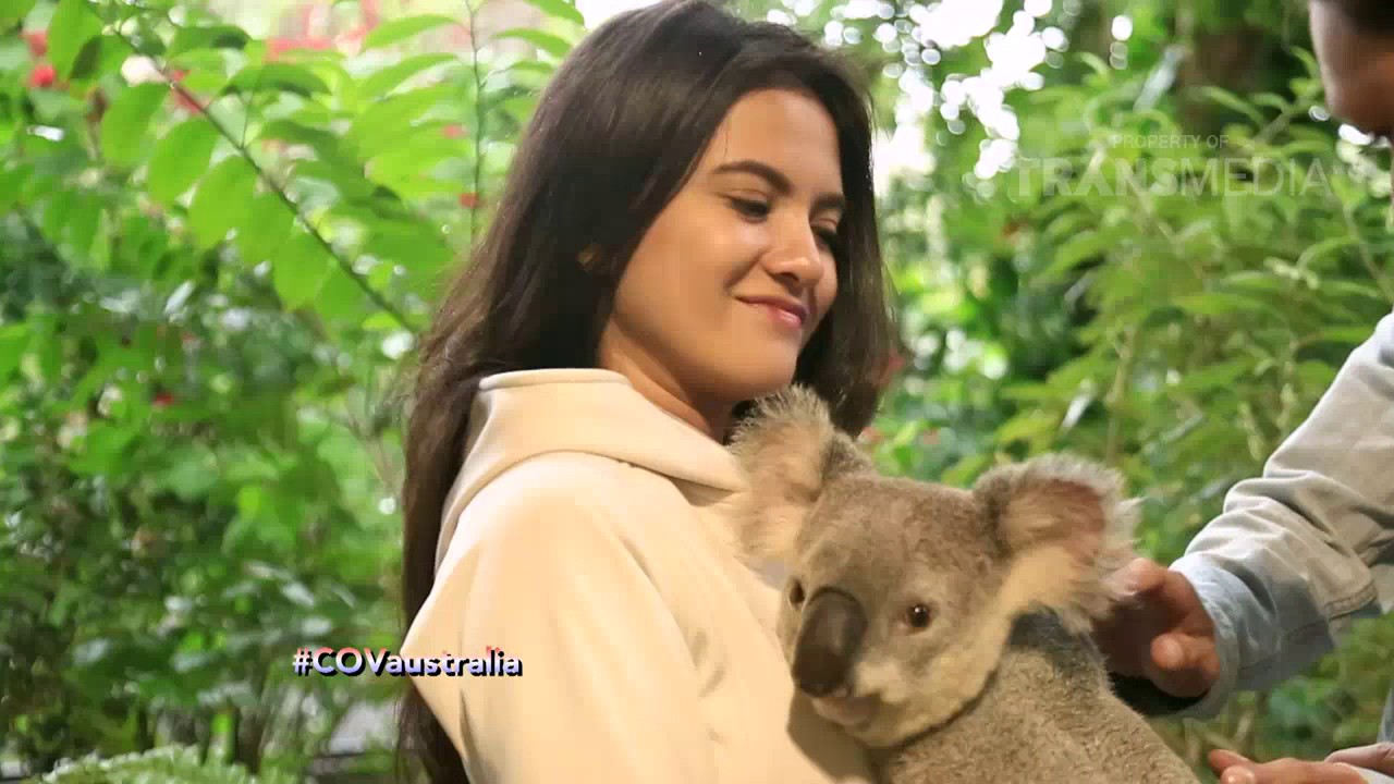 celebrity on vacation