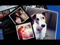 Postagram, Hipstaprint and Competing Camera Phone Print Services - AppJudgment