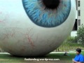 Eye and Cardinal