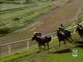 20060827: 2� carrera (Sarajade)