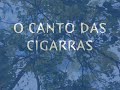 O CANTO DAS CIGARRAS