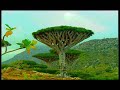Adventure Tourism in Yemen Arabic Adventure Tourism in Yemen Arabic
