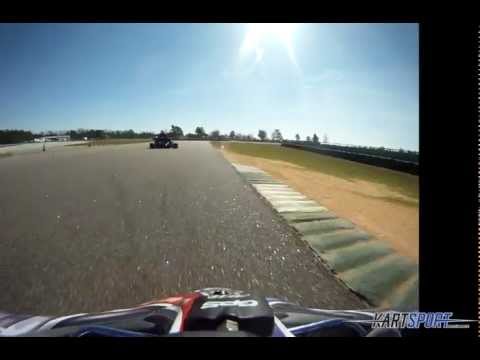 Yamaha Super Can Versus Honda 4-Stroke