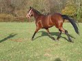 annie clarie 023.MOV