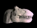 サンドアートでティラノサウルス