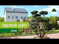 Садовый центр