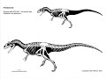 Tribute to allosaurus Tribute to allosaurus