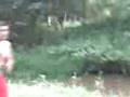 videos de no rio dinovo